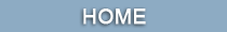 Home button